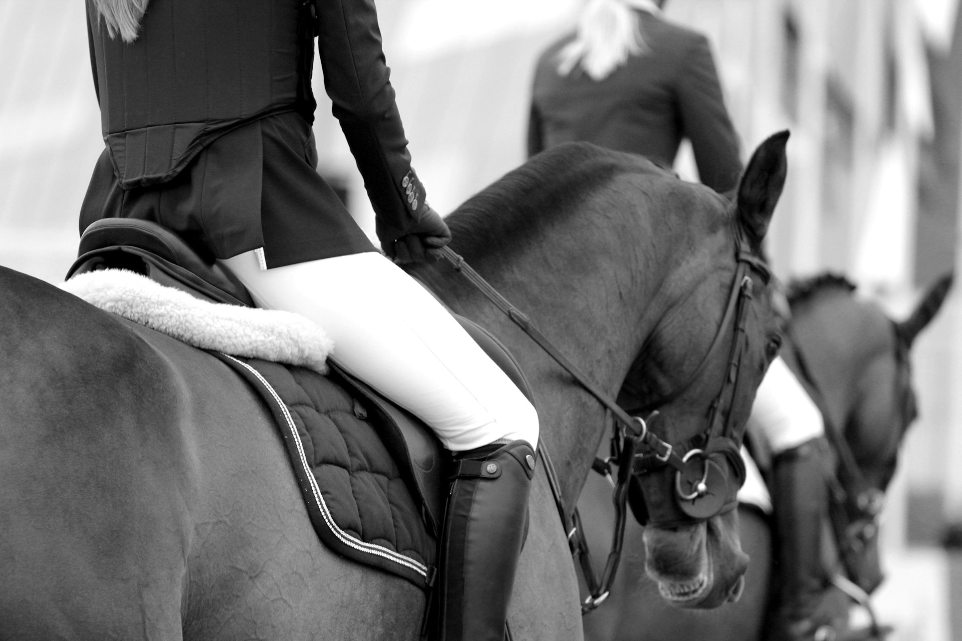Equestrian background