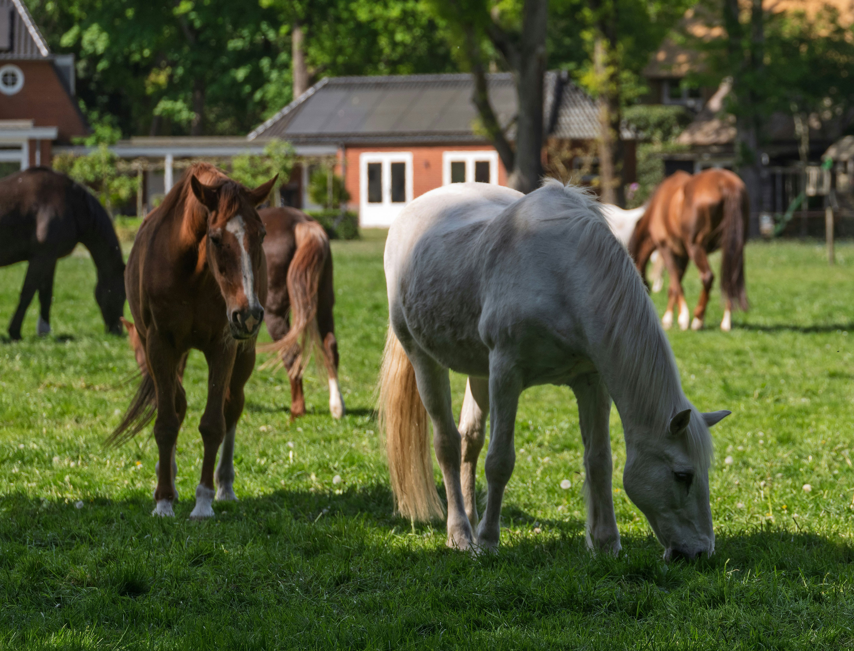 Connect with Your Community