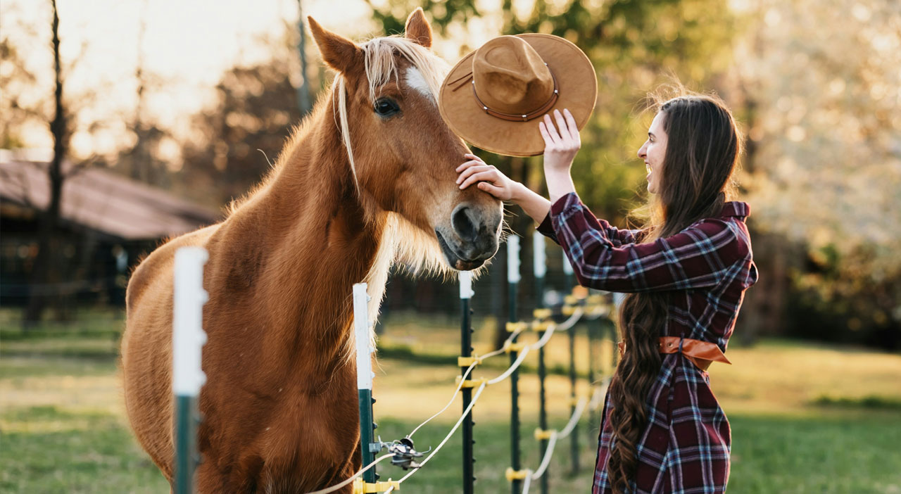 Sharing and Documentation